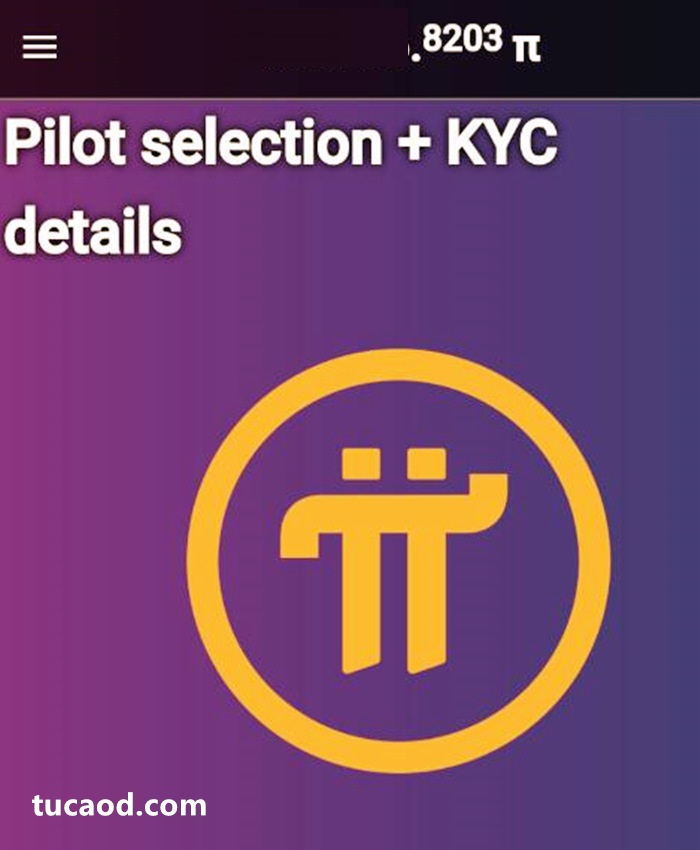 Pi Network开通交易转账了?pi币KYC认证方案细节